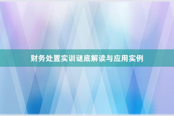 财务处置实训谜底解读与应用实例