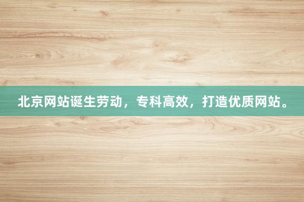 北京网站诞生劳动，专科高效，打造优质网站。