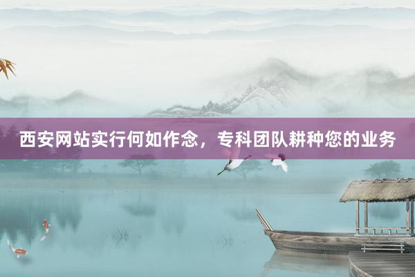 西安网站实行何如作念，专科团队耕种您的业务