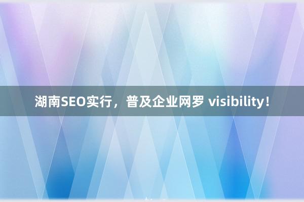 湖南SEO实行，普及企业网罗 visibility！