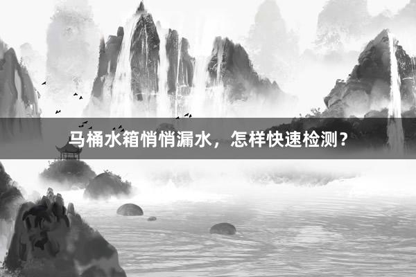 马桶水箱悄悄漏水，怎样快速检测？