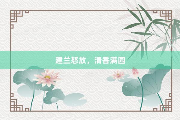 建兰怒放，清香满园
